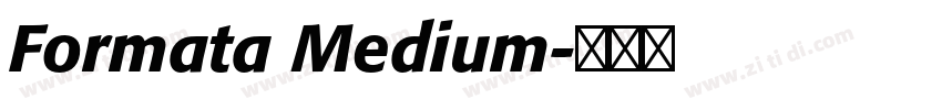 Formata Medium字体转换